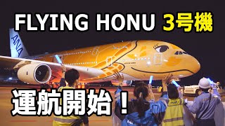 All Nippon Airways | FS24 Stable 4K & Dev ✅ video