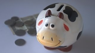 Savannah bankruptcy attorney