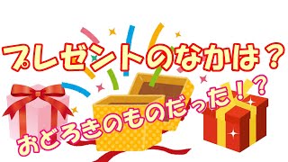 プレゼントの中身は！？サンタさんがくれたものとは？