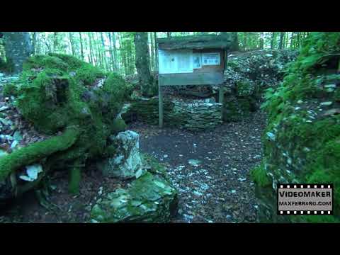 Le vie della grande guerra