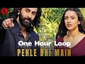 ANIMAL:PEHLE BHI MAIN | 1 Hour Version | Ranbir Kapoor,Tripti Dimri | Sandeep V | Vishal M,Raj S
