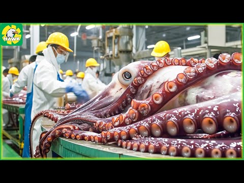 Giant Squid Fishing 🦑 How Giant Squid Cutting and process in Factory | Squid Processing Factory