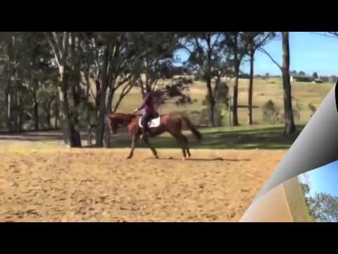 download lagu mp3 mp4 Matey2, download lagu Matey2 gratis, unduh video klip Matey2