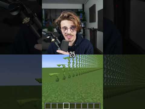 Comment on joue à Minecraft en fonction de son age ?