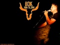 Bok van Blerk - Die Kaplyn (Lyrics in English) 