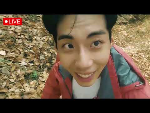비디오 4