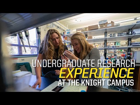 Undergraduate Research Experience at the Knight Campus