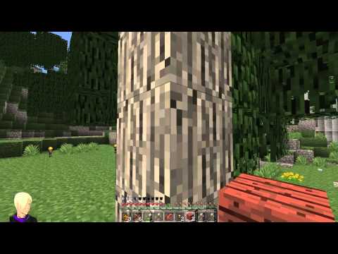 Minecraft WG S03-E009 - ( Unser neues Heim ) [Deutsch] -HD- [335]