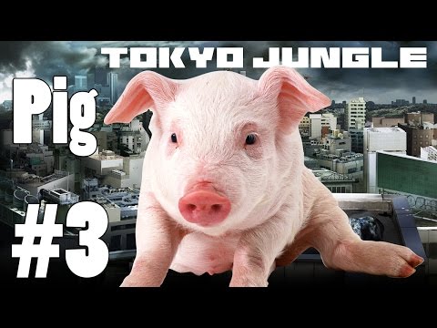 Tokyo Jungle: Pig Survive over 100 years Part 3 of 4