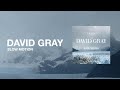 David Gray - Slow Motion (Official Audio)