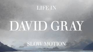 David Gray - Slow Motion (Official Audio)