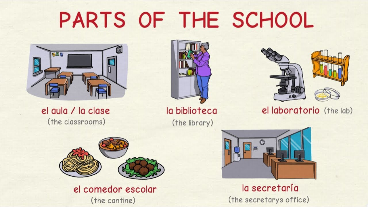 Learning Spanish: School Vocabulary (intermediate level)