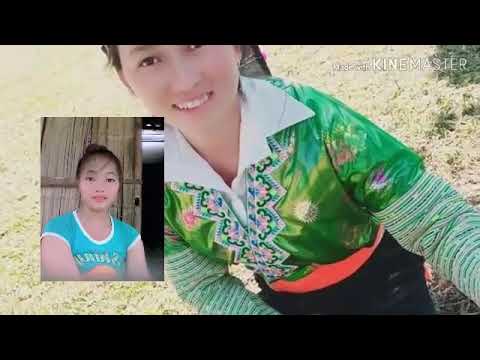 nkauj tawm tshiab 219 -202