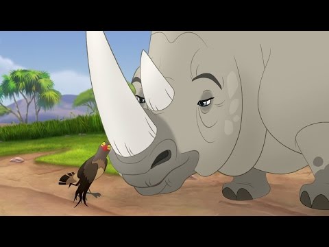 Video thumbnail for Tickbirds and Rhinos