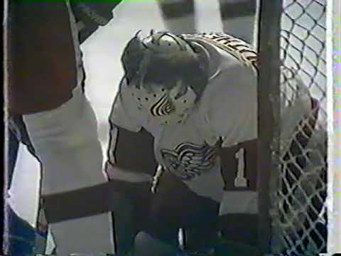 NHL 1979/80 WINNIPEG JETS AT DETROIT RED WINGS