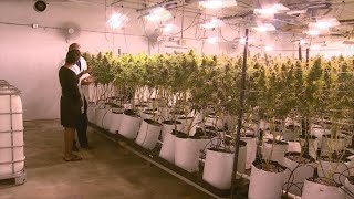 Yetta takes a personal tour of one of Arizona's largest pot dispensaries