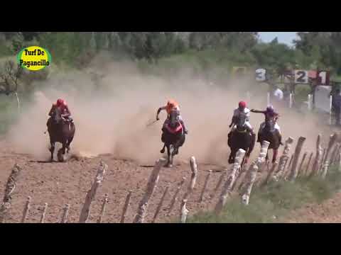 Que Nene. Hip. "Villa Unión" 22.12.2018