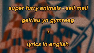 super furry animals - sali mali + lyrics in welsh and english