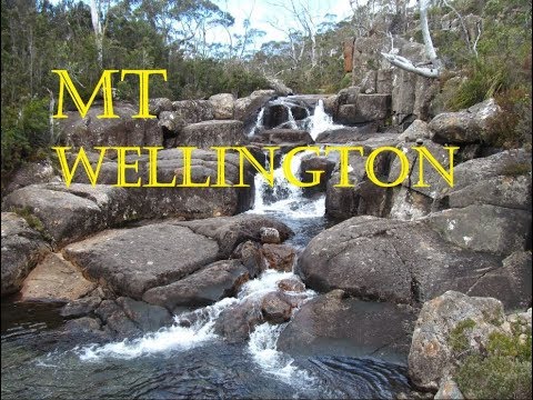 Mt Wellington - Walk 3