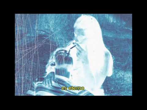 SEBAS L.B tu debilidad (Visualizer)