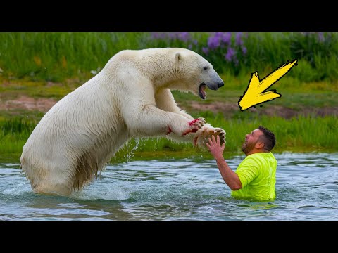 A man approaches to help the injured polar bear. And then something amazing happens...
