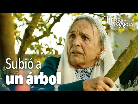 ¿Por qué Haminne subió a un árbol? - Capítulo 145
