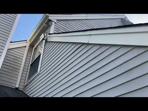 Carpenter Bee Treatment in Somerville, NJ