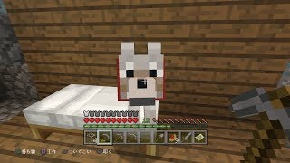 初心者による雑談メインのマインクラフト(マイクラジオ)#4