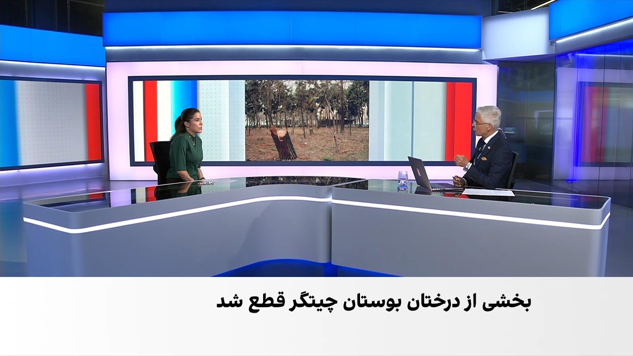 بحران آب در تهران؛ روایت مخاطبان ایران‌اینترنشنال از بی‌آبی تا خشک شدن درخت