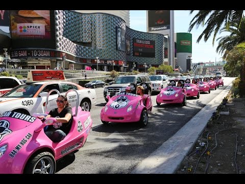 Hog Car Tours Promo Amazing Tours and Food