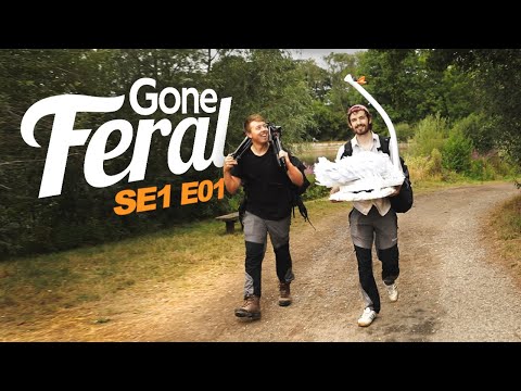 Gone Feral: Wildlife Photography Adventures | SE1E01 - Lockdown & Robots