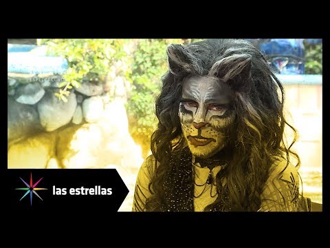 Yuri regresa a la obra musical 'Cats' | Las Estrellas