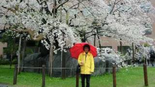 Somewhere A Place For Us