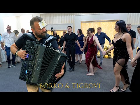 Borko Radivojevic & Tigrovi - jedno lepo kolo za sve goste, Teodorin rodjendan