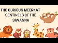 Meerkats Savanna Sentinels