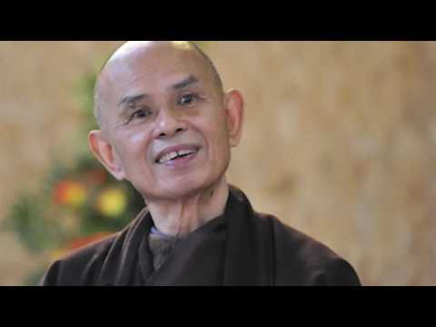 [Thich Nhat Hanh] - POWERFUL Visualisation Technique - ADIDAPHAT