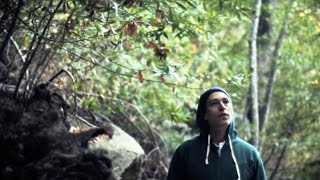 The Story of.... &quot;Surrender&quot;