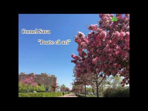 Cornel Sava "Poate că azi"