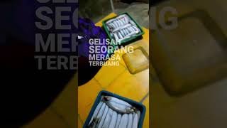 Download lagu Berandal Malam Dibangku Terminal @IwanFalsMusica #iwanfals #berandalmalamdibangkuterminal #shorts mp3
