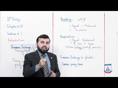 Class 10 - Biology - Chapter 10 - Lecture 1 - Introduction - Allied Schools