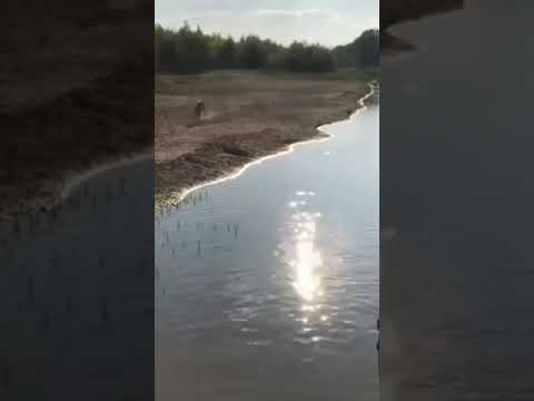 ZHAKAU feat.RaiM -AПТА (DDbeats)