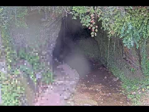 伊尾木洞のライブカメラ映像