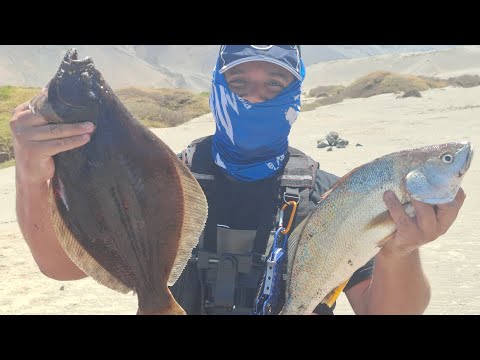 PESCA ARICA CALETA CAMARONES 