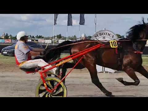 Mercedes - Benz KUP trka Subotica 2023