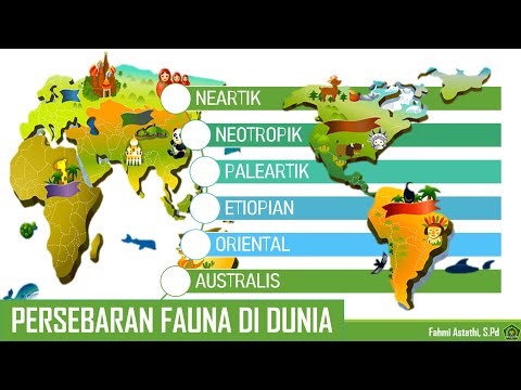 PERSEBARAN FAUNA DI DUNIA #geography #education #kurikulummerdeka #flora #fauna