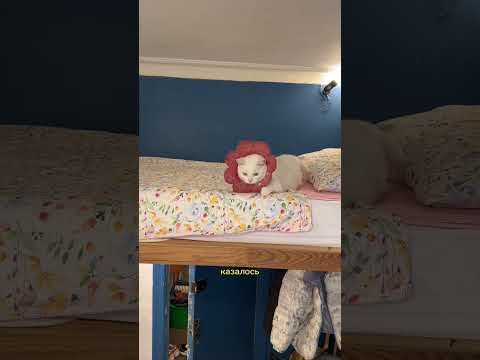 причина выселения из коммуналки🥺