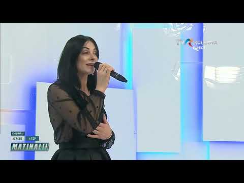 ALINA VIZITIU - Un vânt de casă