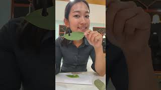 胡椒ソムリエREINA がライブ配信中!