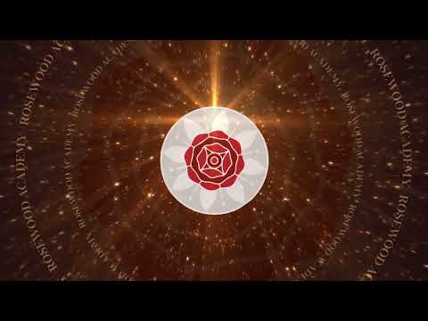 Rosewood Institute | Episode 1 'Luka Nassir' (VRChat RP)