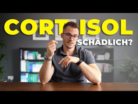 Cortisol - deswegen ist es WICHTIG für dich!